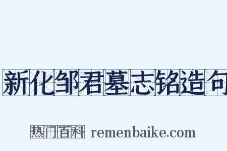 新化邹君墓志铭造句是什么意思的图片